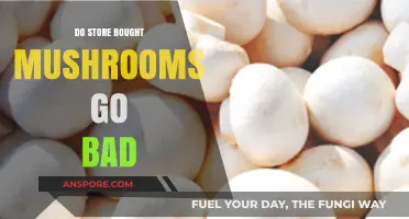 Do Store-Bought Mushrooms Go Bad? Shelf Life and Storage Tips