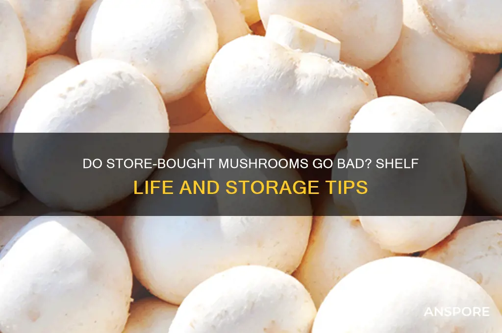 do store bought mushrooms go bad