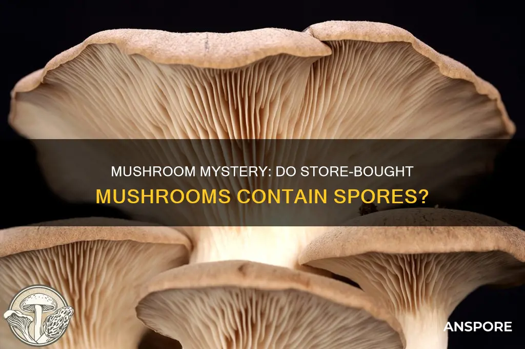 do store bought mushrooms have spores