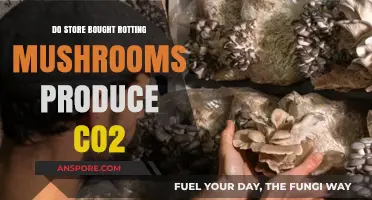 Mushrooms: Do Store-Bought Fungi Emit CO2 as They Decay?
