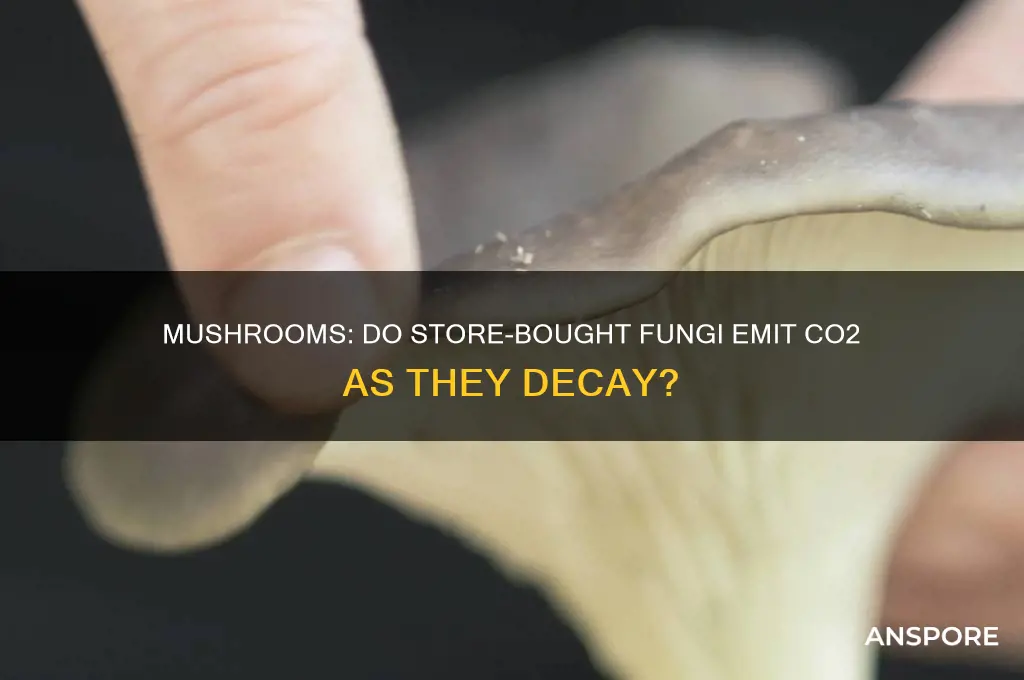 do store bought rotting mushrooms produce co2