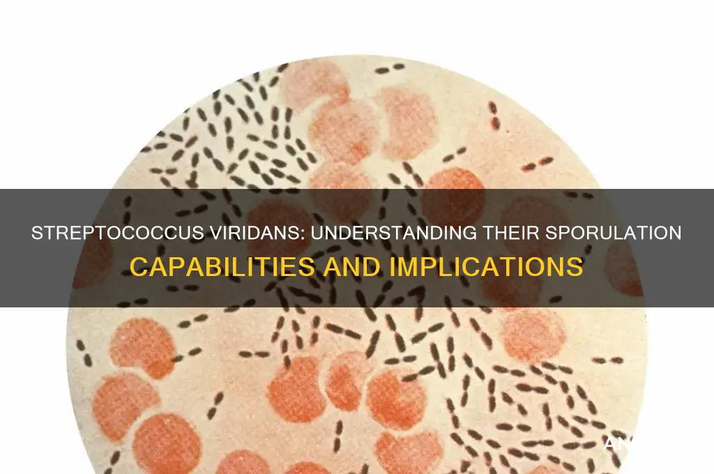 do streptococcus viridans form spores
