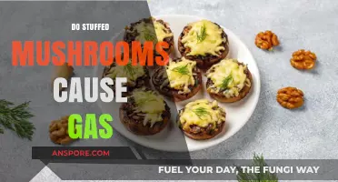 Stuffed Mushrooms: Gas and Bloating Culprit?