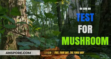 Mushroom Mystery: Do Sub D Tests Work?