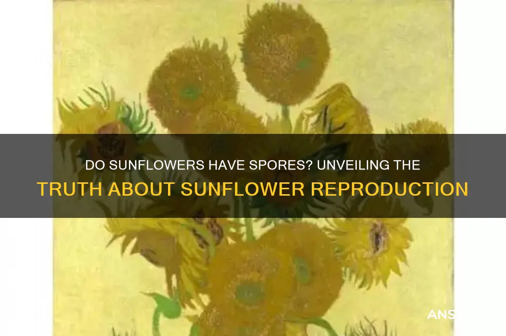 do sunflowers have spores