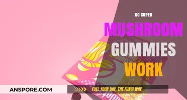 Mushroom Gummies: Do They Work?