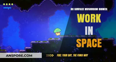 Mushroom Biomes: Space-Friendly or Sci-Fi Fantasy?