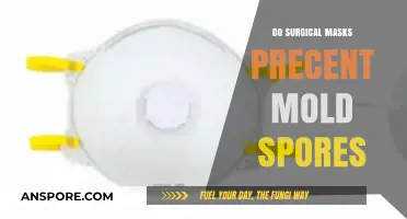 Surgical Masks: Effective Barrier Against Mold Spores or Not?