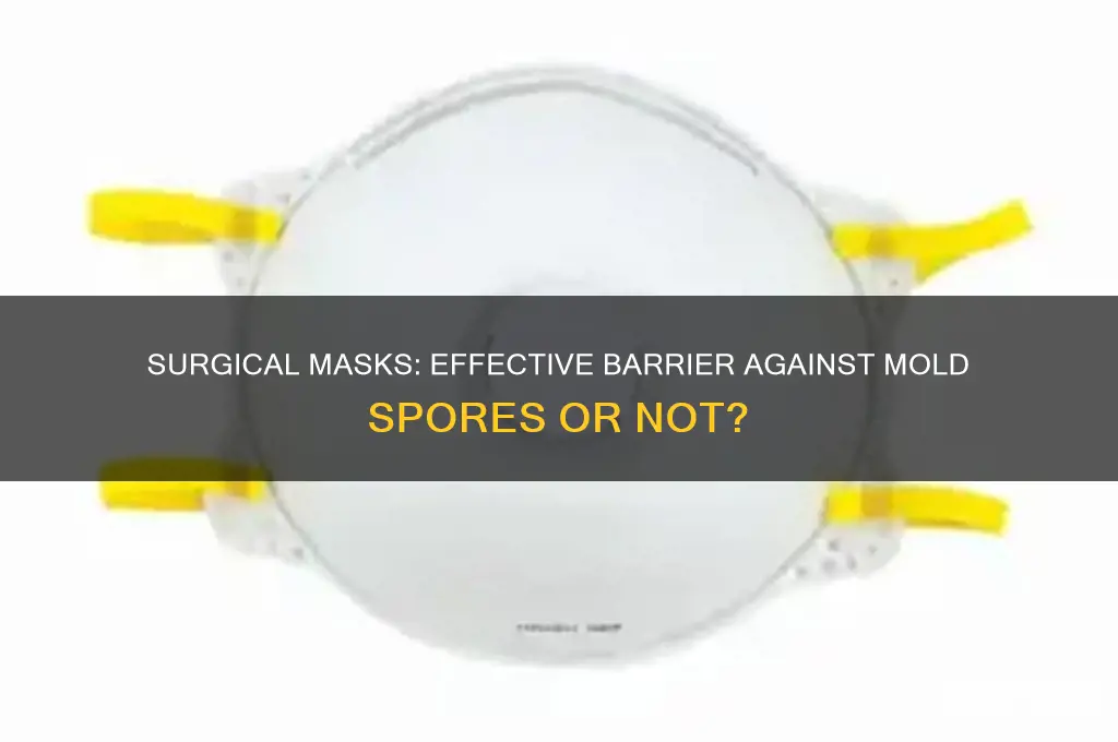 do surgical masks precent mold spores