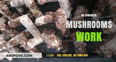 Synthetic Mushrooms: Do They Work?