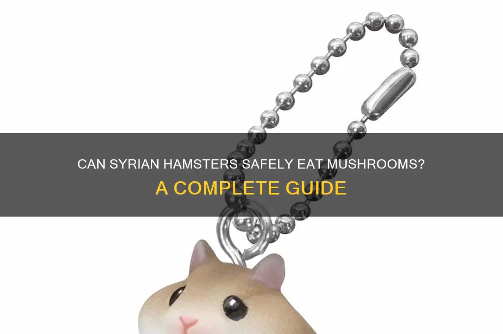 do syrian hamsters eat mushrooms