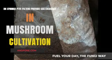 Syringe PTFE Filters: Gas Exchange for Mushroom Cultivation?