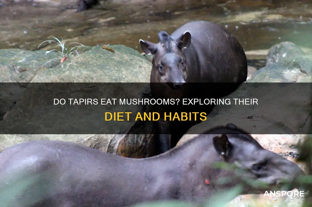 do tapirs eat mushrooms