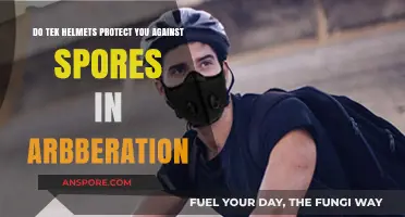 Tek Helmets: Effective Protection Against Spores in Aberration?