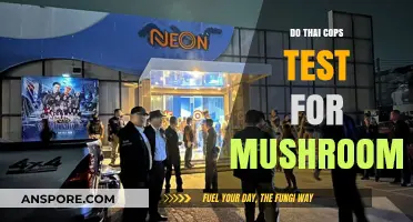 Thai Cops and Mushroom Testing: What's the Deal?