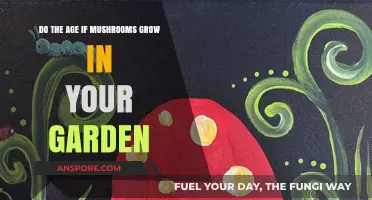 Mushroom Growth in Your Garden: Understanding Age and Factors