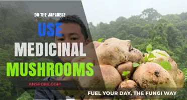 Medicinal Mushrooms in Japan: Ancient Traditions and Modern Wellness Practices