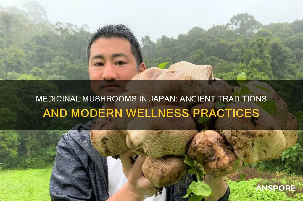 do the japanese use medicinal mushrooms
