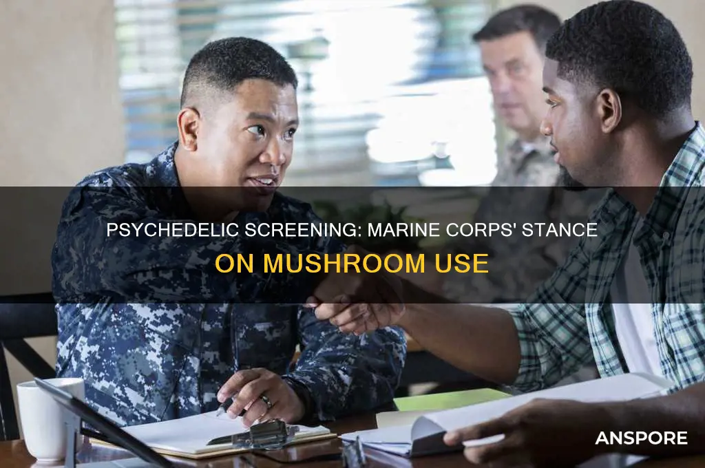 do the marines test for mushrooms