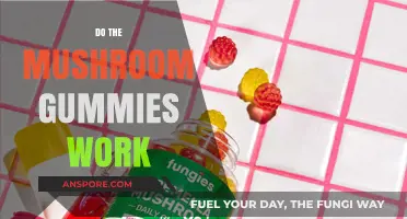 Magic Mushroom Gummies: Do They Work?