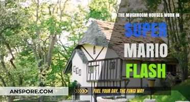 Mushroom Houses in Super Mario Flash: Do They Work?