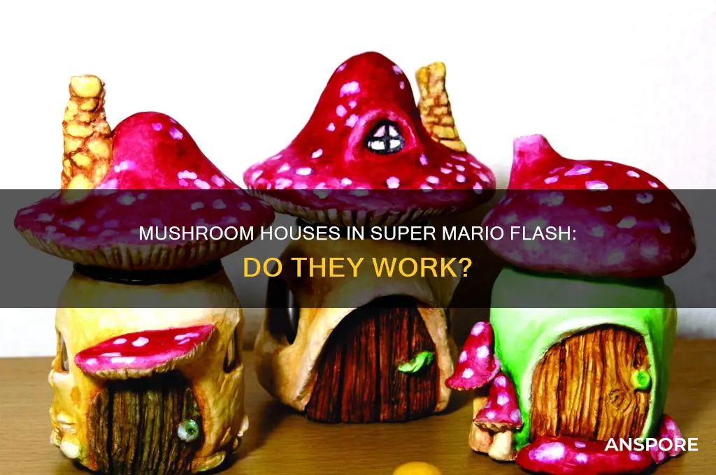 do the mushroom houses work in super mario flash