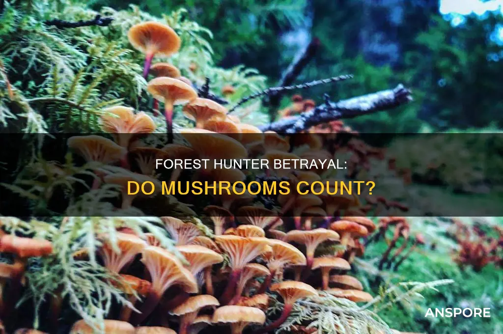 do the mushrooms count towards the forest hunter covenant betrayal