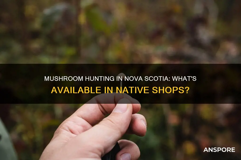 do the native pot shops in nova scotia sell mushrooms