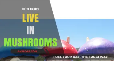 The Truth About Smurf Housing