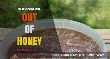 Does Cooking Honey Eliminate Spores? Safety and Health Insights