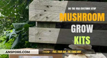 USA Customs and Mushroom Grow Kits: What You Need to Know