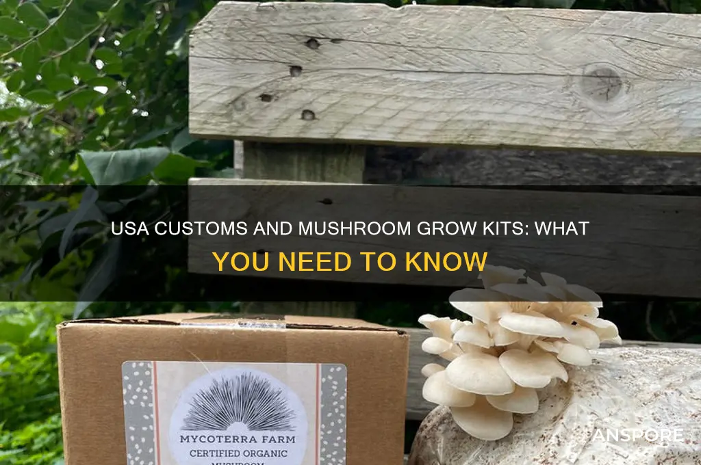 do the usa customs stop mushroom grow kits