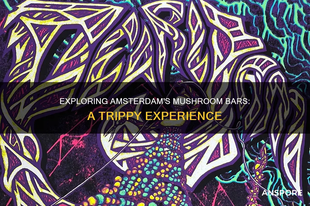 do they have mushroom bars in amsterdam