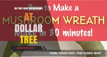 Dollar Tree Mushroom Hunt: What You Need to Know