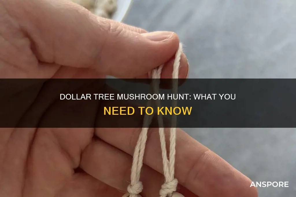 do they have mushrooms at dollar tree