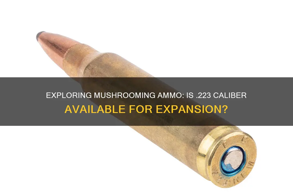 do they make 223 in mushrooming ammo