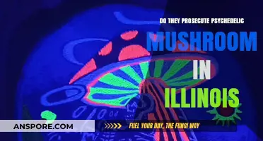 Illinois' Stance on Psychedelic Mushrooms: Legal or Not?
