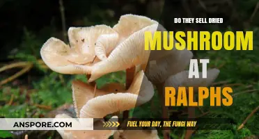 Where to Find Dried Mushrooms: Ralphs Edition