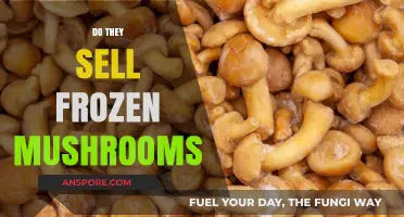 Fresh or Frozen Mushrooms: What's the Deal?