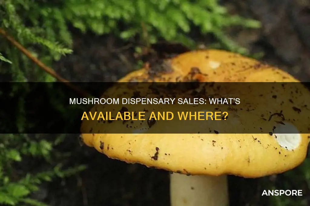 do they sell mushrooms at dispensaries