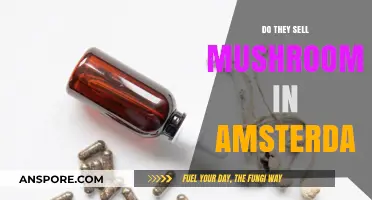 Exploring Amsterdam: Are Magic Mushrooms Sold There?