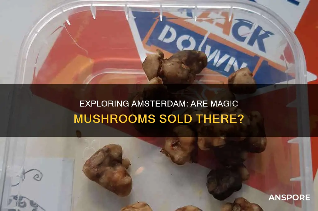 do they sell mushrooms in amsterdam