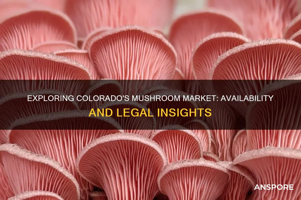 do they sell mushrooms in colorado