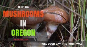 Mushroom Hunting in Oregon: What's for Sale?