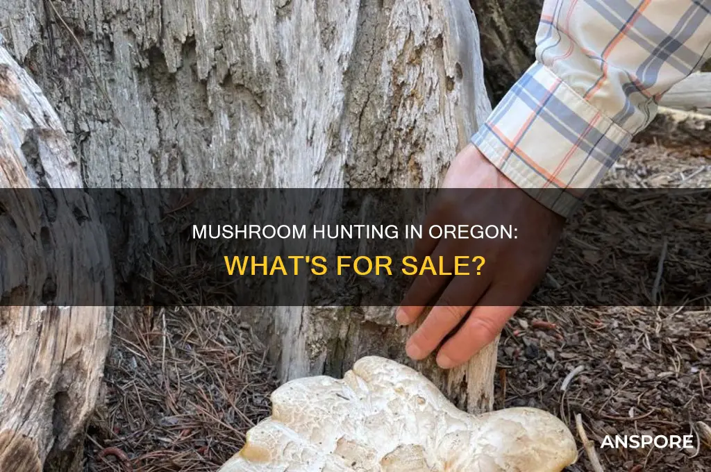 do they sell mushrooms in oregon