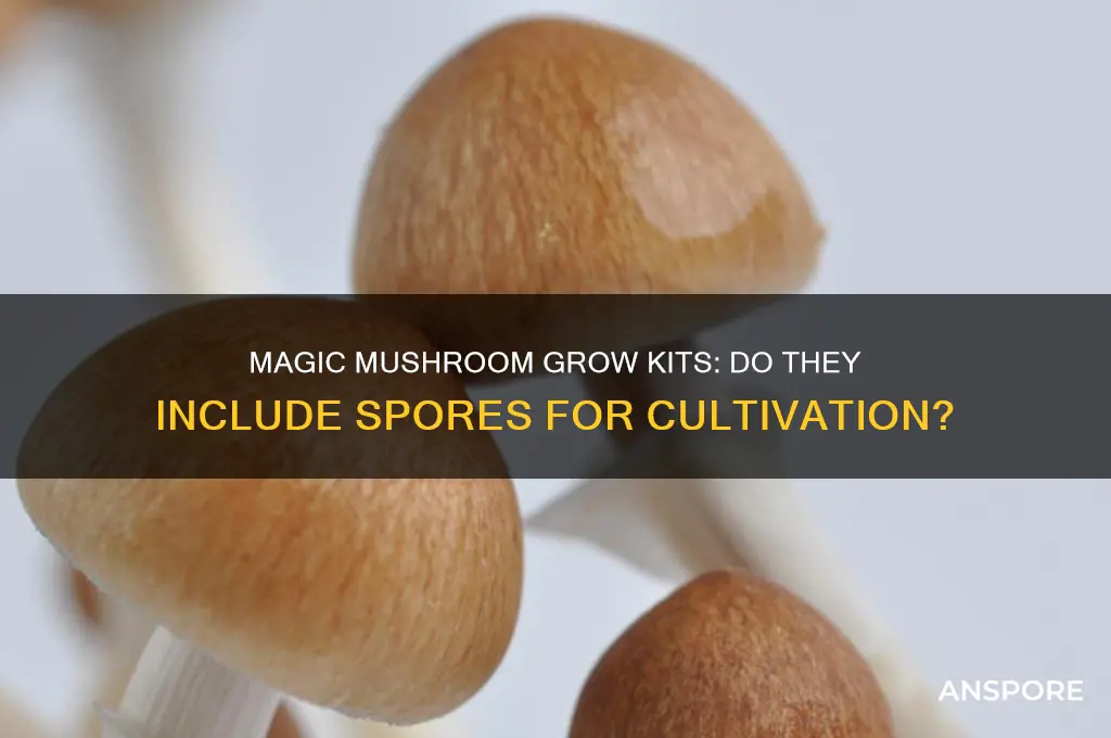 do they send spores with magic mushroom grow kits