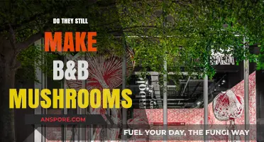 Are B&B Mushrooms Still Available? Exploring Their Current Status