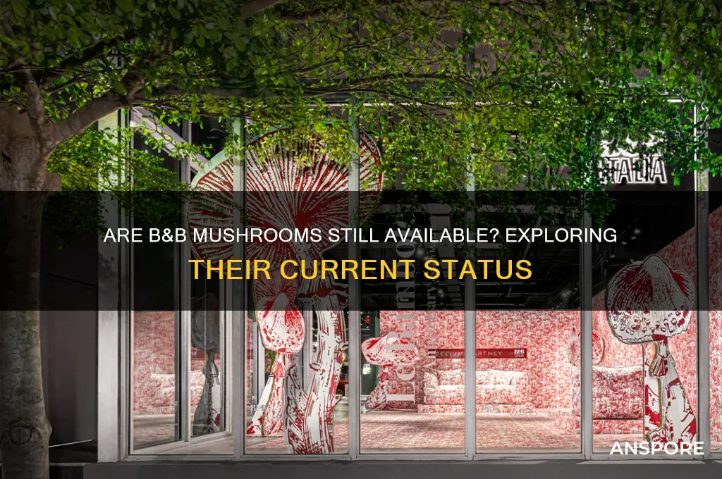 do they still make b&b mushrooms