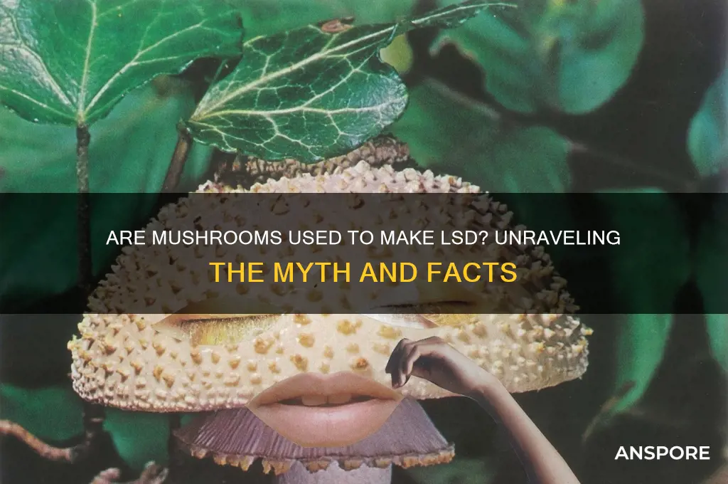 do they use mushrooms to make lsd
