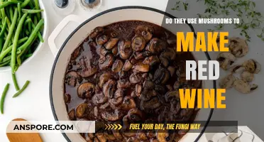 Mushrooms in Red Wine: Myth or Winemaking Secret?